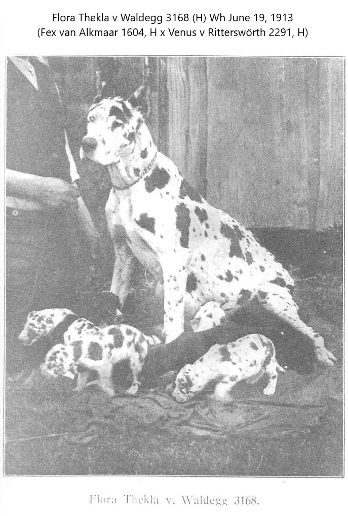 Flora Thekla v Waldegg